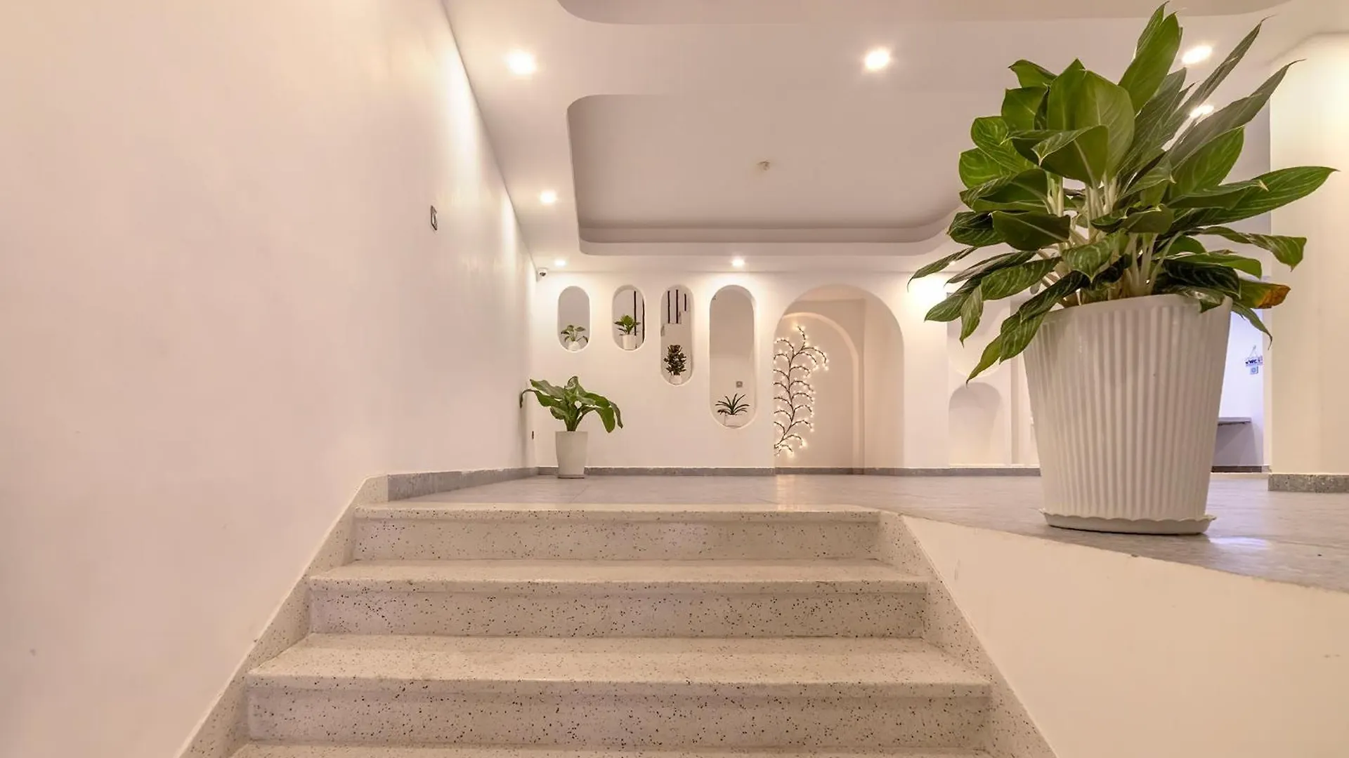Hafi Boutique Hotel Vung Tau Vietnam